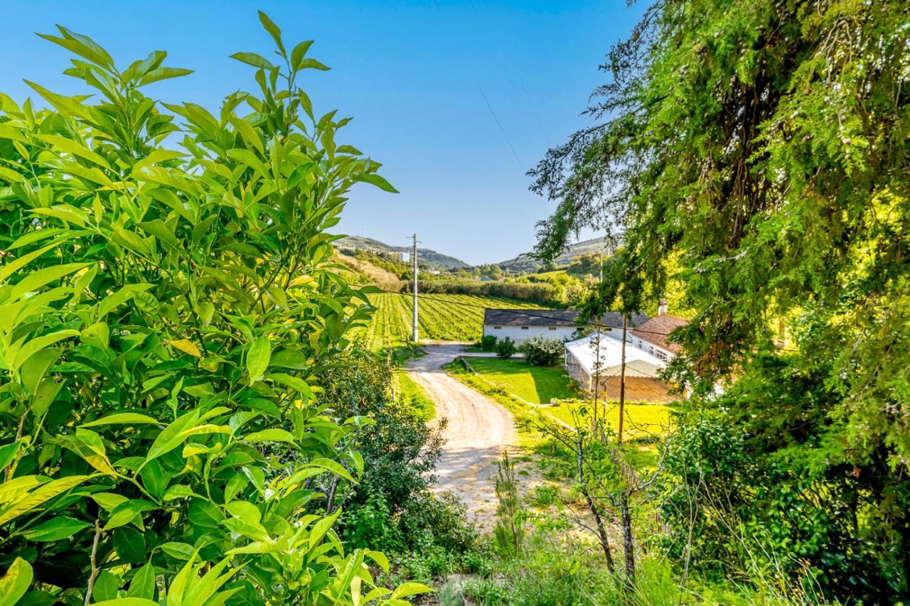 Quinta Do Boicao Villa Lisabona Exterior foto