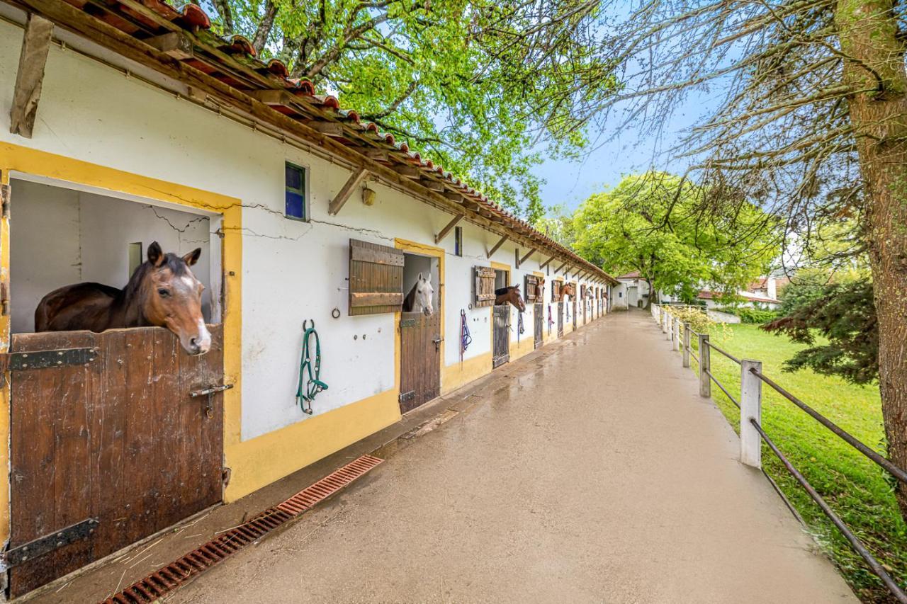 Quinta Do Boicao Villa Lisabona Exterior foto